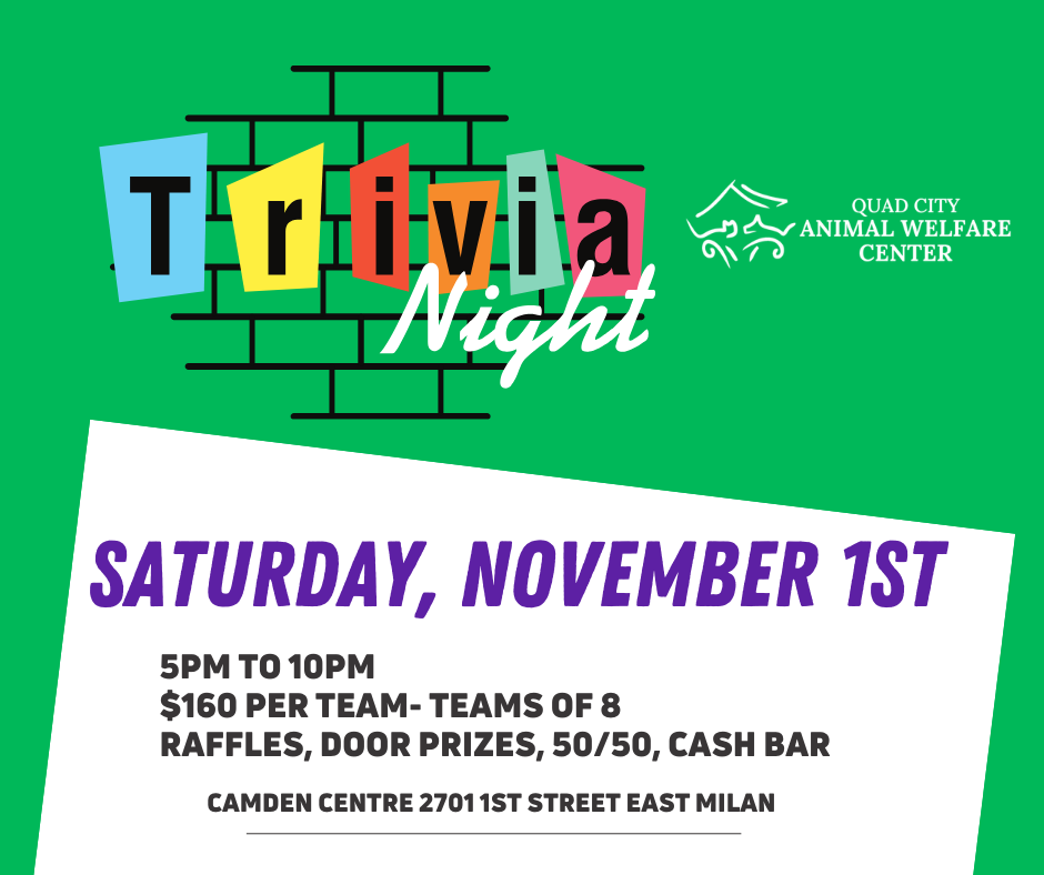 Trivia night facebook